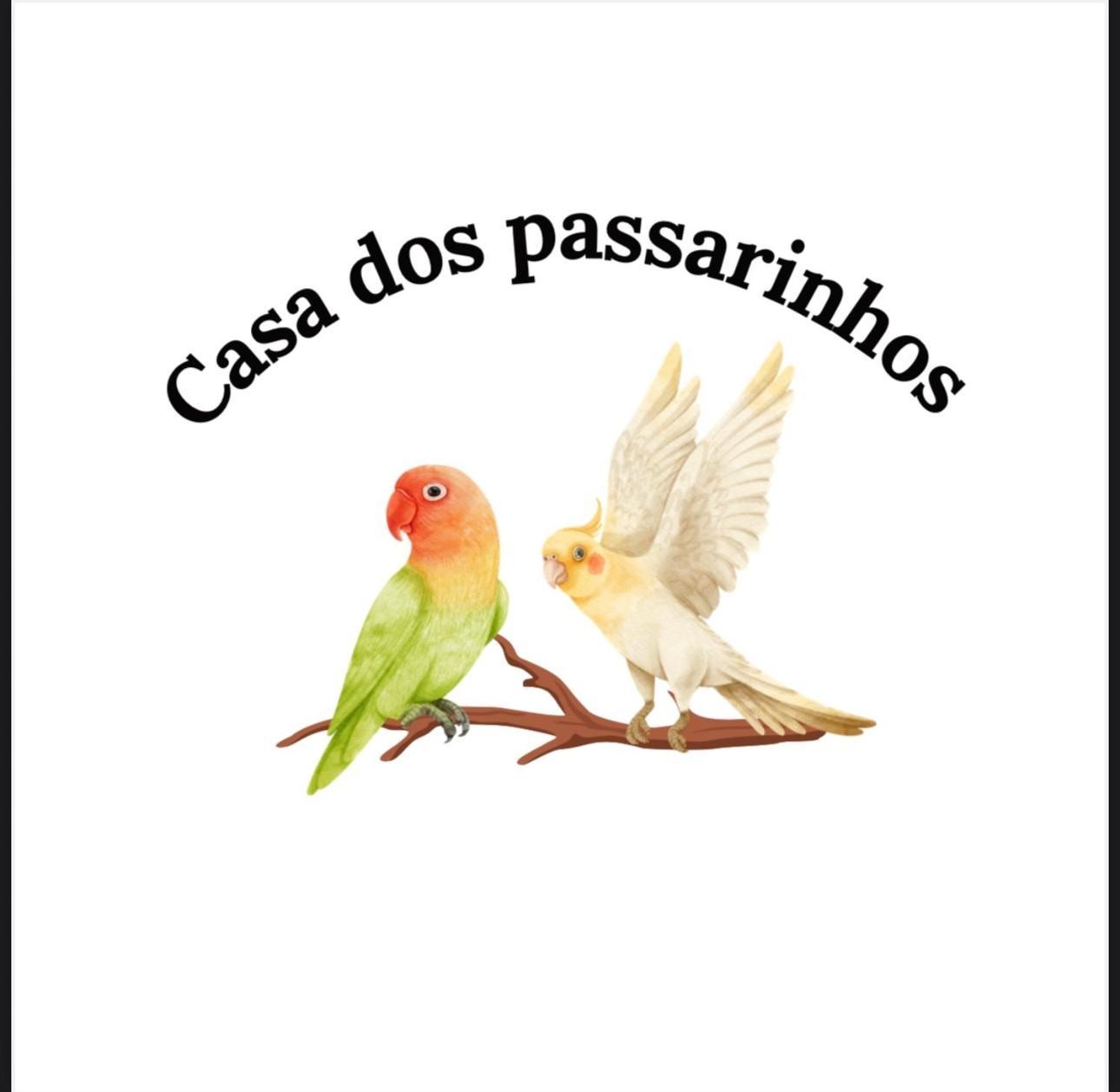 Casa Dos Passarinho'S , Lagos Kültér fotó